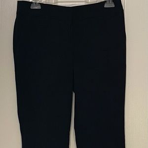 Ann Taylor Loft Pants (Zoe)